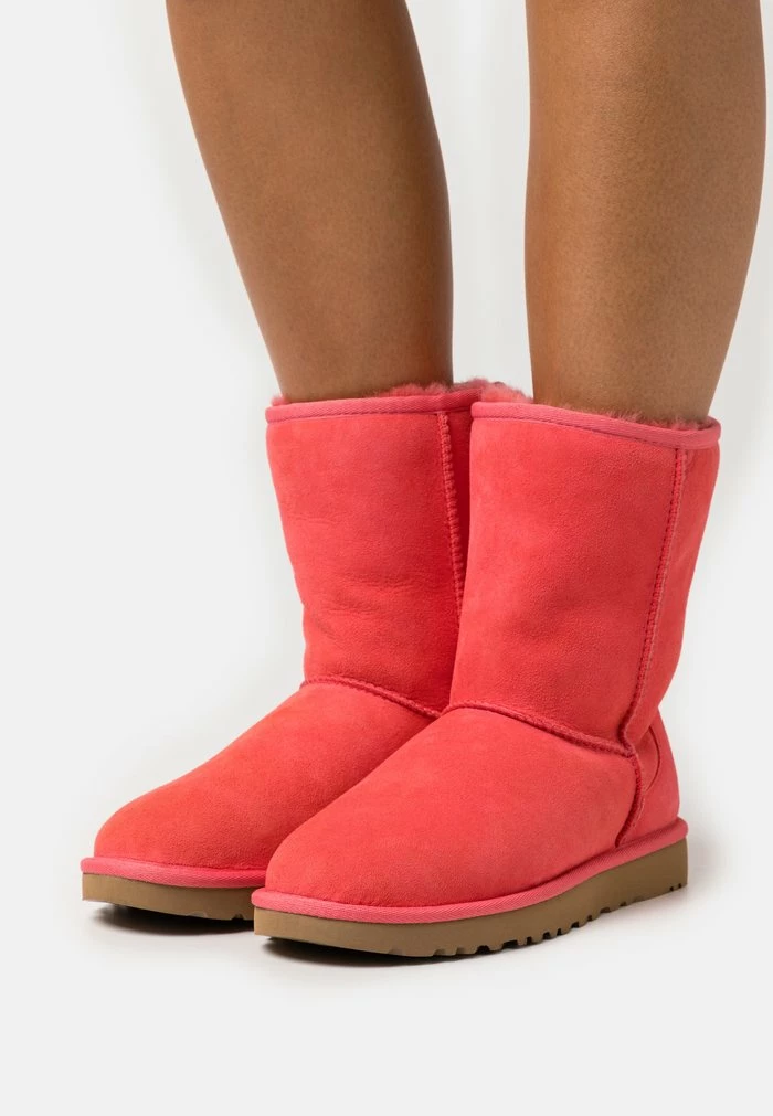 CLASSIC SHORT - Classic ankle boots - nantucket coral UGG CLASSIC SHORT - Classic Ankle Boots - Nantucket Coral -UGG Shop 23a60b82c74c4faab9c7a47cbb921ca2