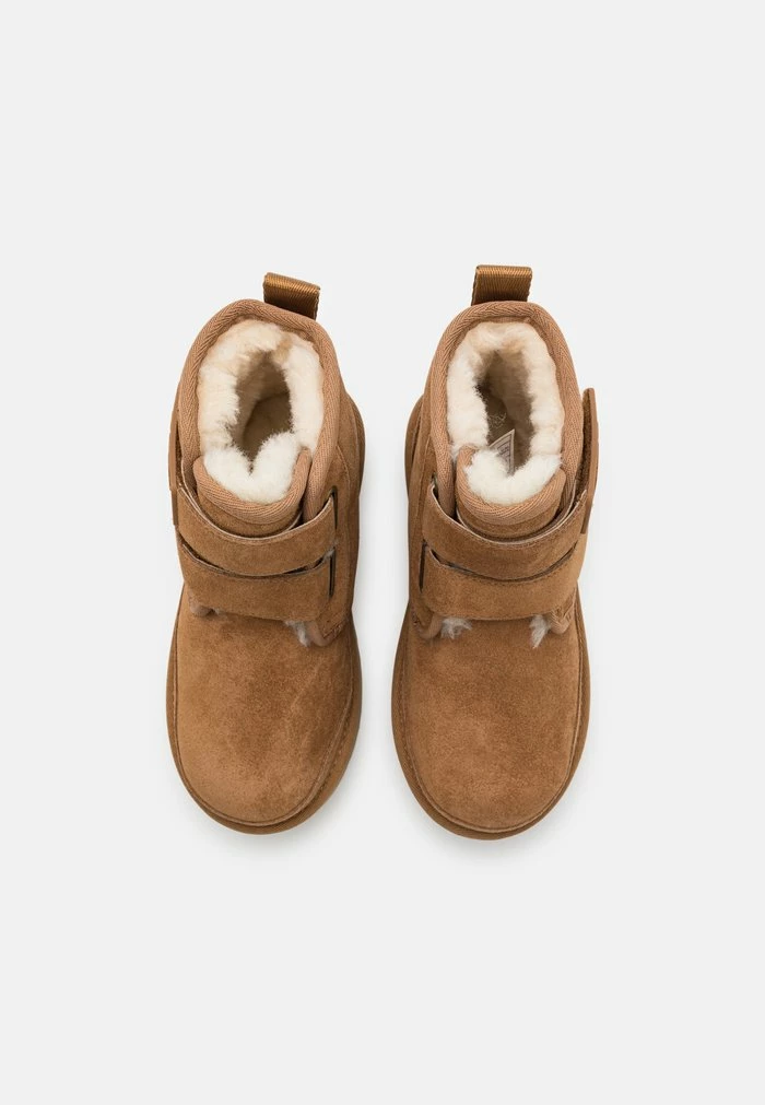 NEUMEL PLATFORM UNISEX - Classic ankle boots - chestnut UGG NEUMEL PLATFORM UNISEX - Classic Ankle Boots - Chestnut -UGG Shop 45b344017c034d1cb3a02018987ca12c
