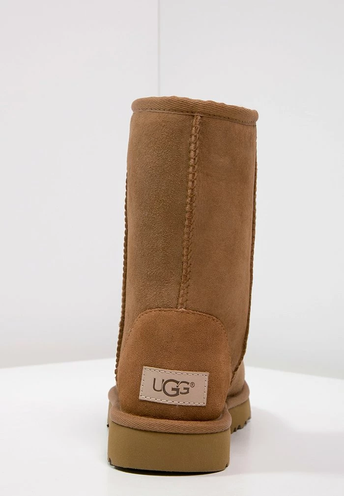 UGG CLASSIC SHORT - Classic Ankle Boots - Chestnut 5 UGG CLASSIC SHORT - Classic Ankle Boots - Chestnut - Image 5